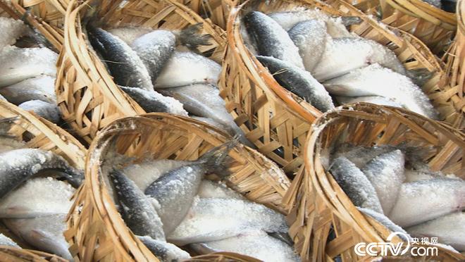 乡土:蚝乡记 8月16日