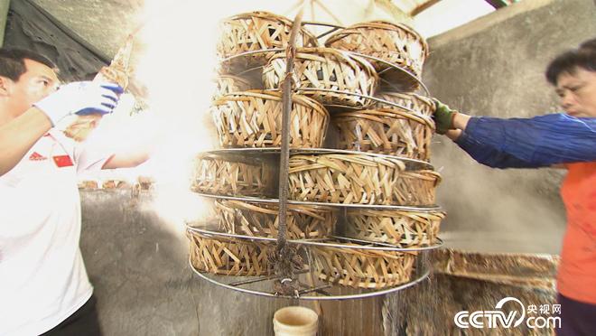 乡土:蚝乡记 8月16日