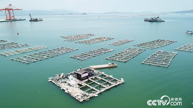 乡土:蚝乡记 8月16日