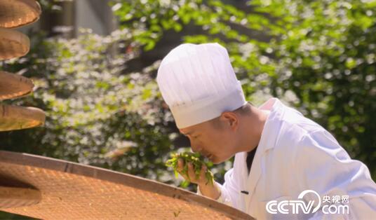 绿色时空:绿茶整容 物尽其用 8月19日