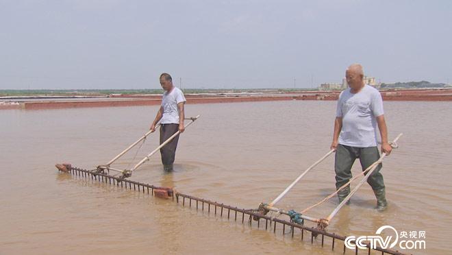 乡土:寻味中国 昌邑 8月28日