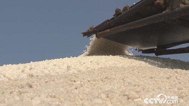 乡土:寻味中国 昌邑 8月28日