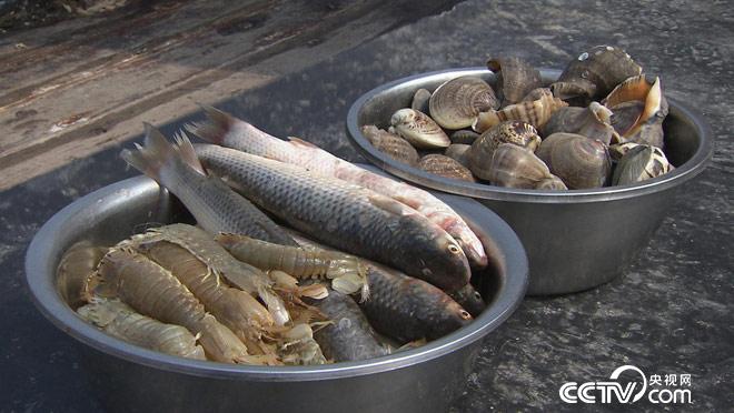 乡土:乡土中国 品味盘锦 9月5日