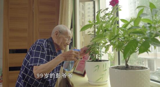 图：99岁的彭云松在浇花