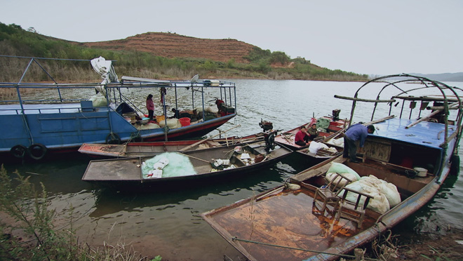 乡土:油橄榄香飘丹江口 11月28日