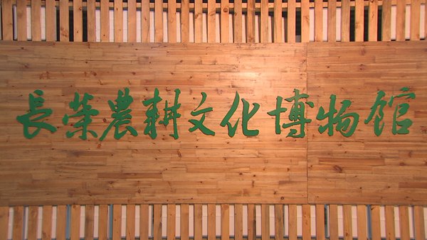 乡土:灌南“三怪” 12月13日