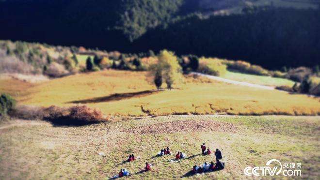 乡土:洛宁故事 12月20日