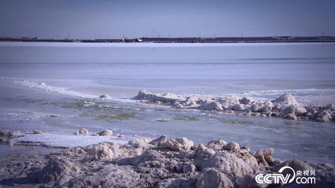乡土:寻访格尔木 1月17日