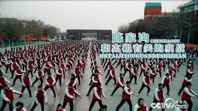 乡土:陈家沟 和太极有关的实战 1月23日