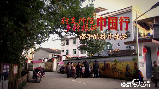 乡土:行走阡陌乡村振兴中国行 南平的林中生活 1月25日