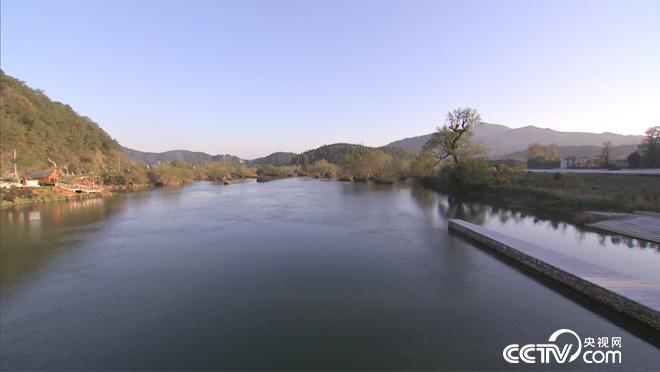 乡土:行走阡陌乡村振兴中国行 南平的林中生活 1月25日