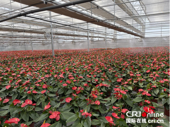 图片默认标题_fororder_定稿293