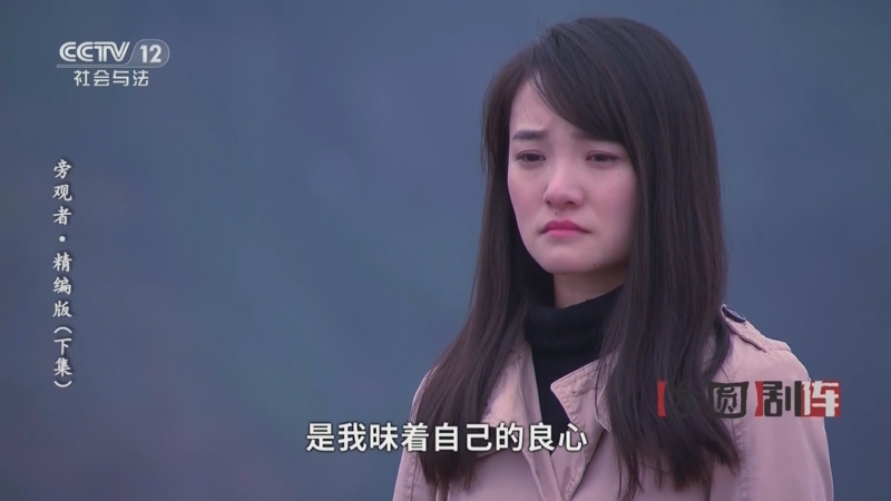 《方圆剧阵》 20241020 旁观者·精编版(下集)