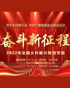 奋斗新征程2022年全国乡村振兴特别节目