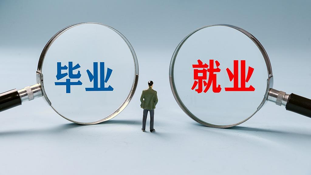 就业公共服务进校园百日行动启动