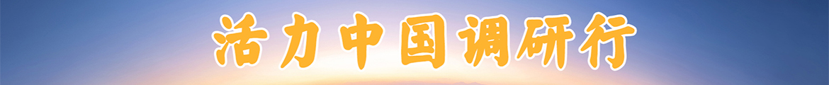活力中國調研行