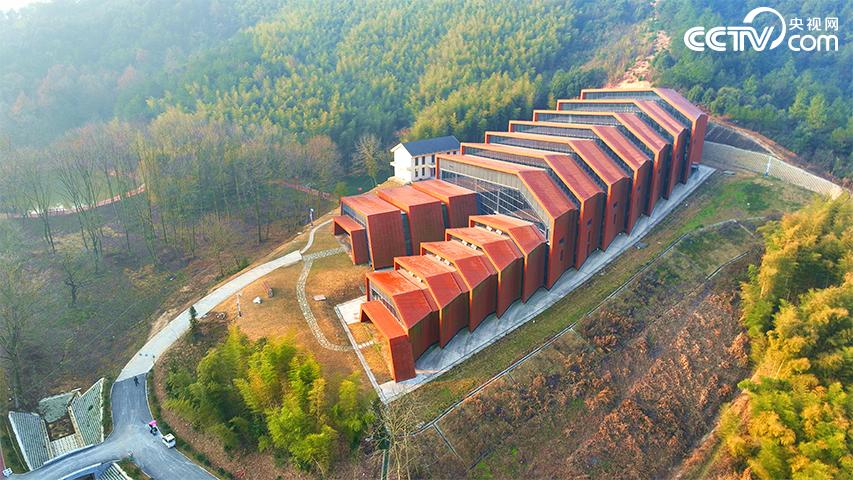 安徽芜湖：繁昌窑青白瓷韵的千年泥火之恋_新闻频道