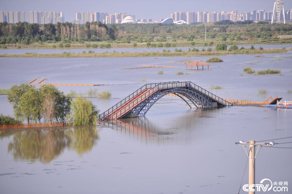 哈尔滨松花江水漫过湿地公园