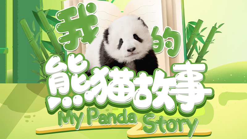 “我的熊猫故事”主题征集活动优秀作品揭晓