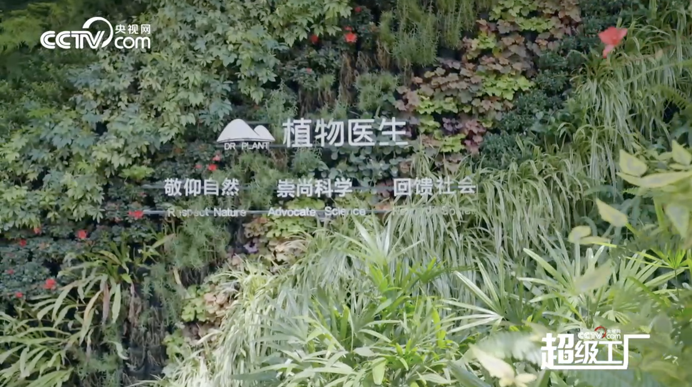 cctv cctv