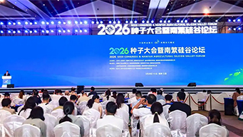 南繁从传统“育种基地”转为“种业总部经济集聚区”