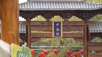 假期文旅消费：尝海鲜 逛美食街 特色餐饮吸引大批游客
