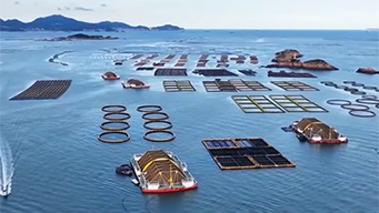 《中国海洋发展指数报告2026》发布