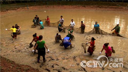 会走路的鱼好赚钱