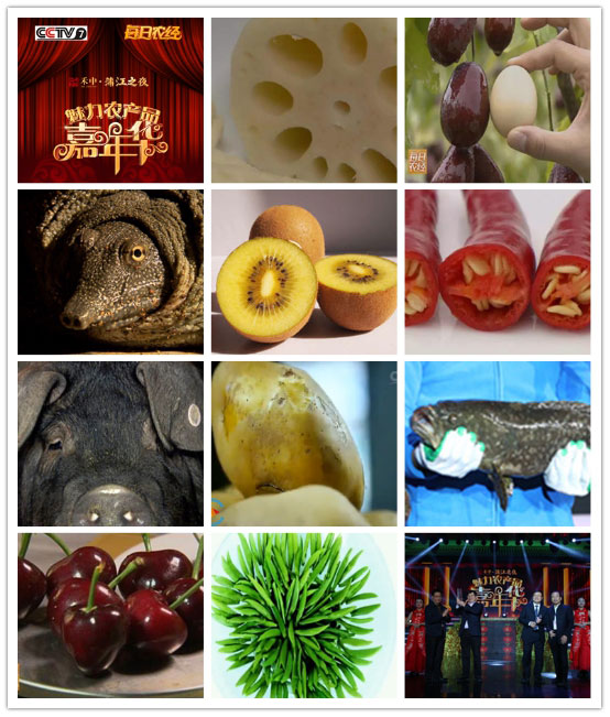 第六届CCTV魅力农产品嘉年华-蒲江之夜春节播出