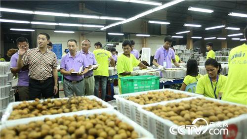 亿万财富从一根扁担起步