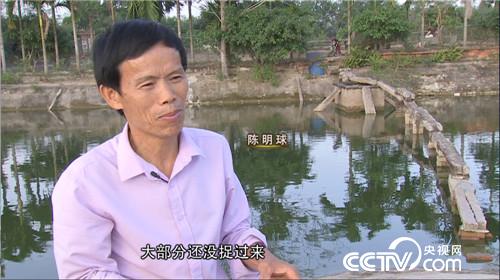 &ldquo;龟痴&rdquo;发龟财