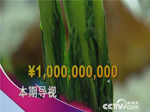 食尚大转盘：荤素搭配有讲究