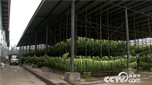 命运从捡钱包开始改变