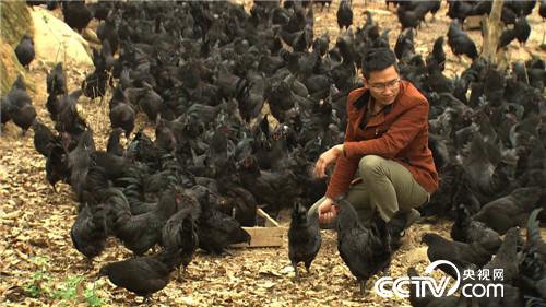 这种财富黑透了