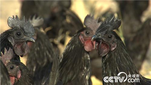 这种财富黑透了