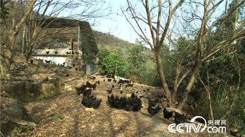 这种财富黑透了