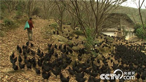 这种财富黑透了