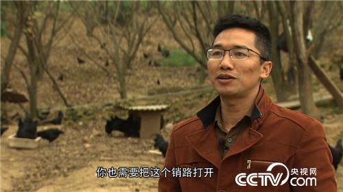 这种财富黑透了