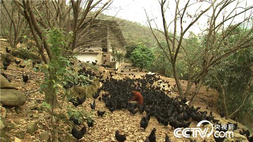 这种财富黑透了