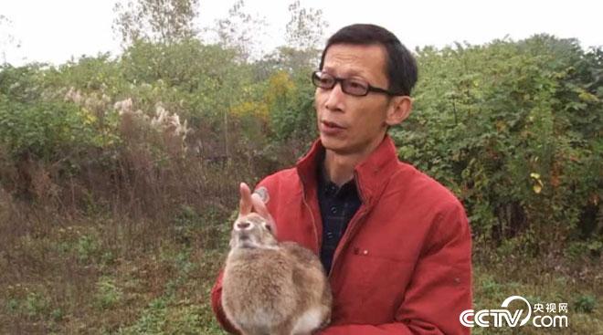 这个人太会用草了