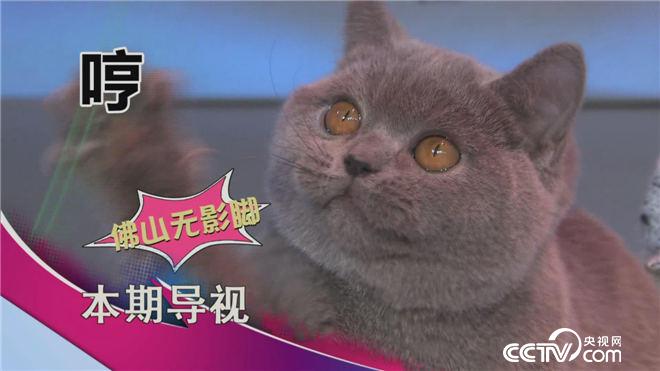 食尚大转盘：大黄鱼和武昌鱼 5月8日