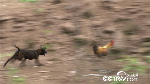 致富经：女儿为找回父亲的自信去创业