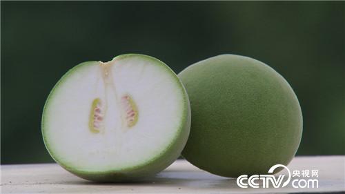 致富经：果子长毛身价倍增