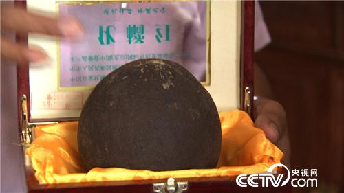 致富经：果子长毛身价倍增