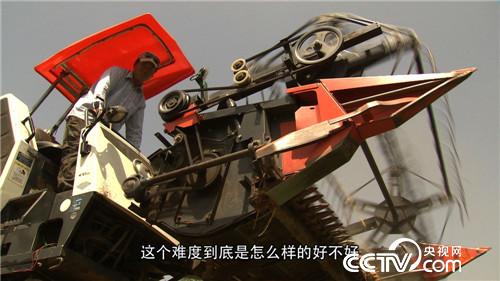 致富经：麦收故事(2)麦田里飞奔的山西机王