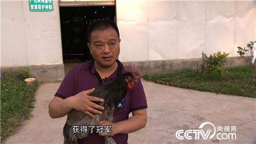 赔光千万后的财富逆袭