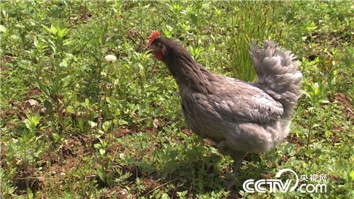 赔光千万后的财富逆袭