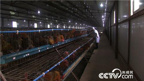 赔光千万后的财富逆袭