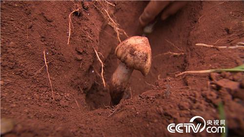 一个腼腆男人的千万财富