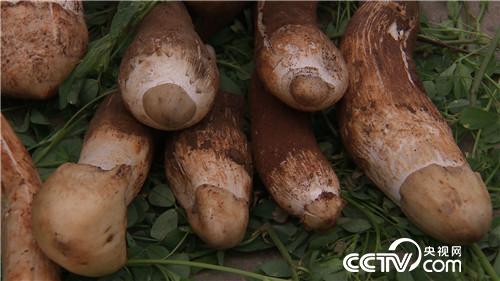 一个腼腆男人的千万财富